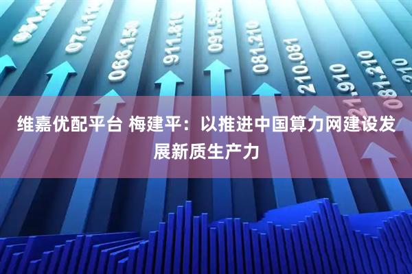 维嘉优配平台 梅建平：以推进中国算力网建设发展新质生产力